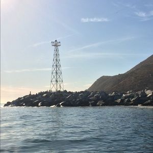 Meet your Posher, Myly